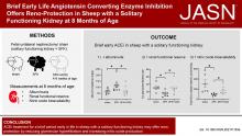 Brief Early Life Angiotensin-Converting Enzyme Inhibition Offers Renoprotection in Sheep with a Solitary Functioning Kidney at 8 Months of Age