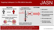 靶向PR3-ANCA血管炎中的组织蛋白酶C