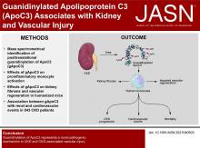 胍基化载脂蛋白C3 (ApoC3)与肾和血管损伤有关