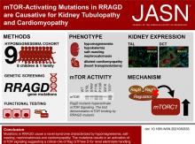 <em>RRAGD</em> mtor激活突变是肾小管病和心肌病的病因