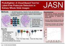 PodoSighter:一种基于云的工具，用于检测肾脏全幻灯片图像中的无标记足细胞