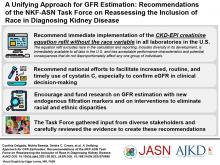 GFR估计的统一方法：NKF-ASN工作队在重新评估肾病诊断中的建议